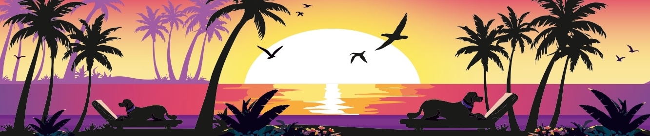 Tropical Paradise